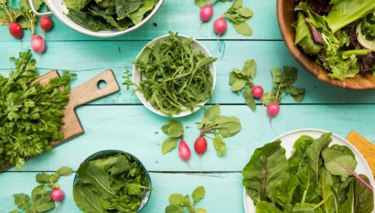 Dieta & Nutrición
